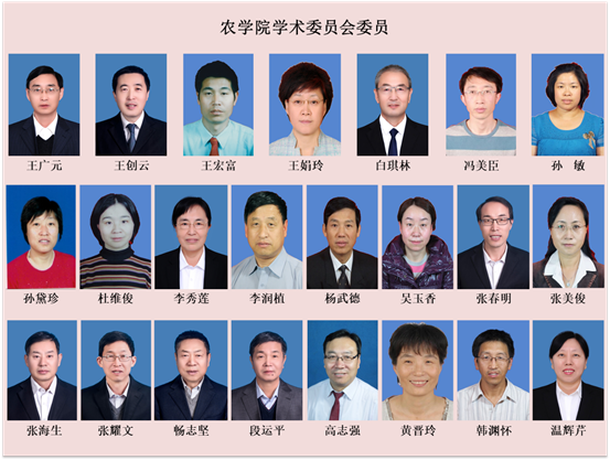 欧宝官方网站入口学术委员会委员